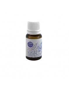 Huile essentielle de Lavande fine 1400 m